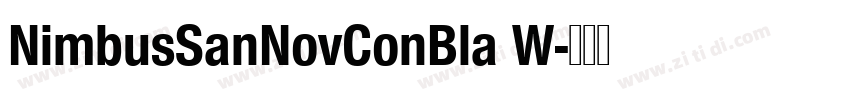 NimbusSanNovConBla W字体转换 NimbusSanNovConBla W字体转换